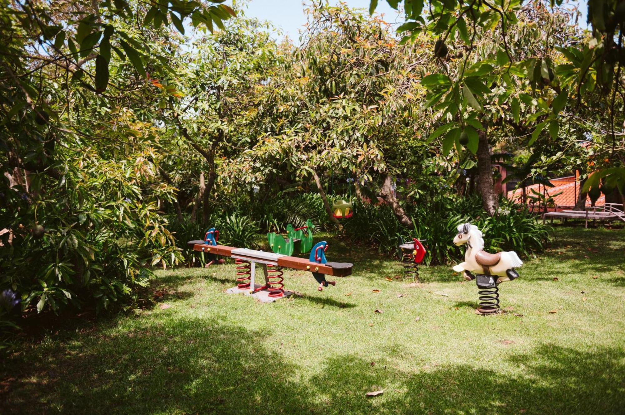 Homeforguest Cosy Rural Flat La Lavanda Surrounded By Nature Апартаменты
